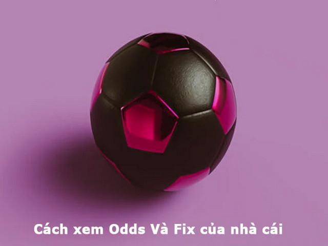 Cách đọc odds cùng fix chuẩn