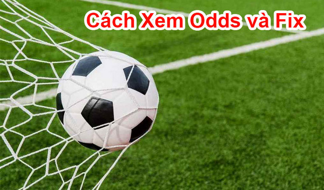 Cách đọc tỷ số odds và fix dựa vào kèo Asian Handicap