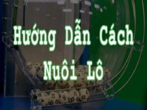 Cách nuôi lô chuẩn và 5 mẹo đánh đề hiệu quả