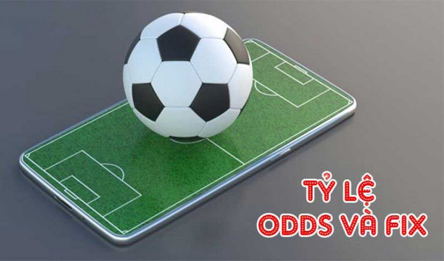 Dựa vào việc phân tích, làm tròn 2 số cuối trong odds và fix