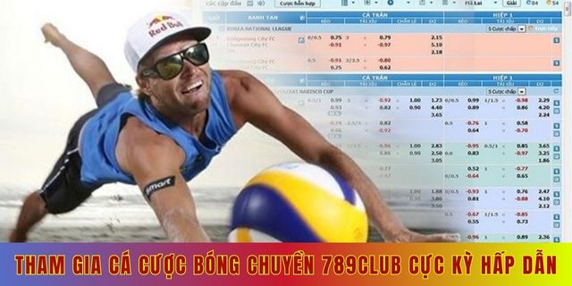 Tham gia cá cược bóng chuyền 789club cực kỳ hấp dẫn